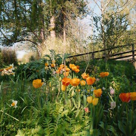 Plumber Manor Hotel Sturminster Newton Luaran gambar
