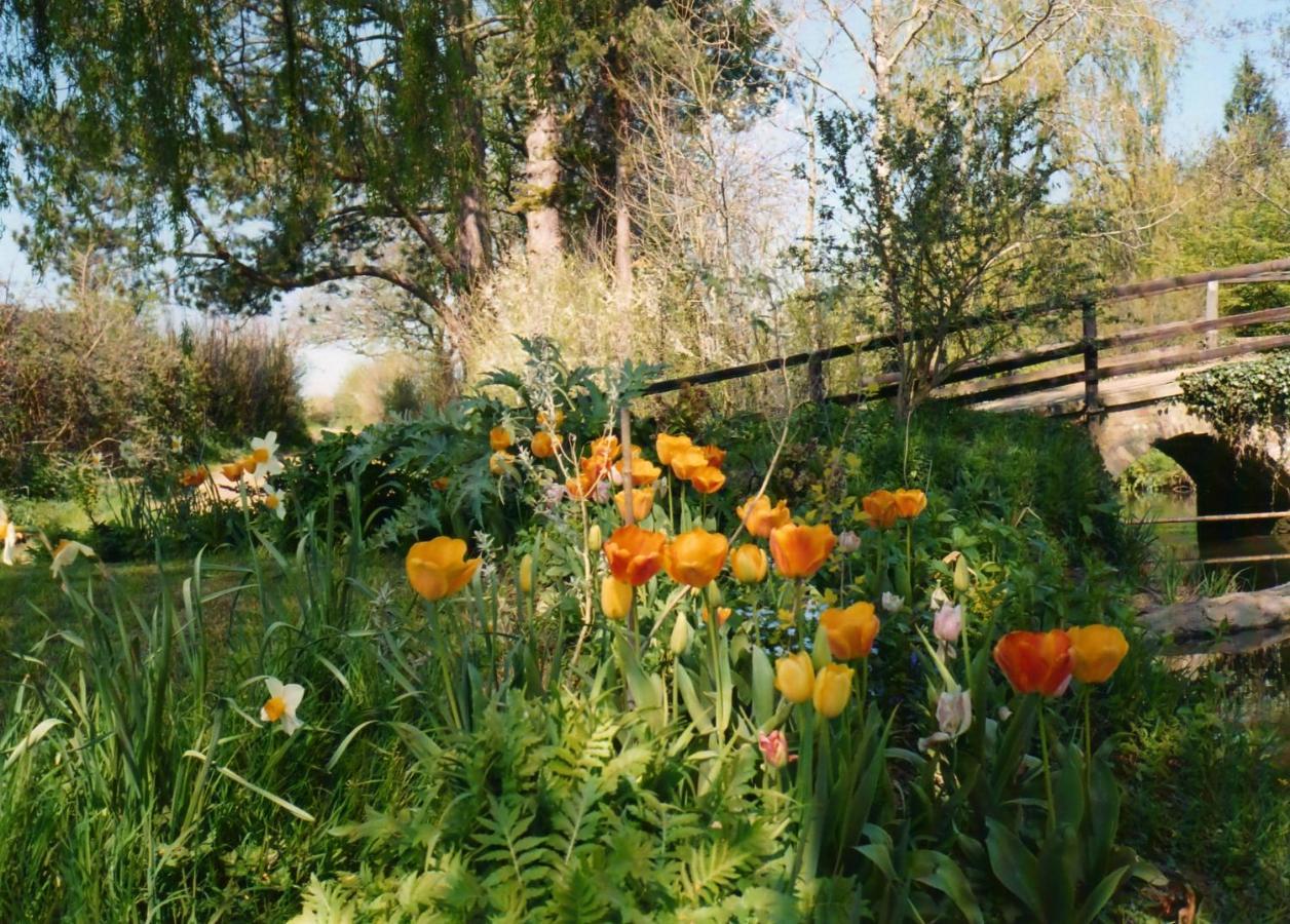 Plumber Manor Hotel Sturminster Newton Luaran gambar