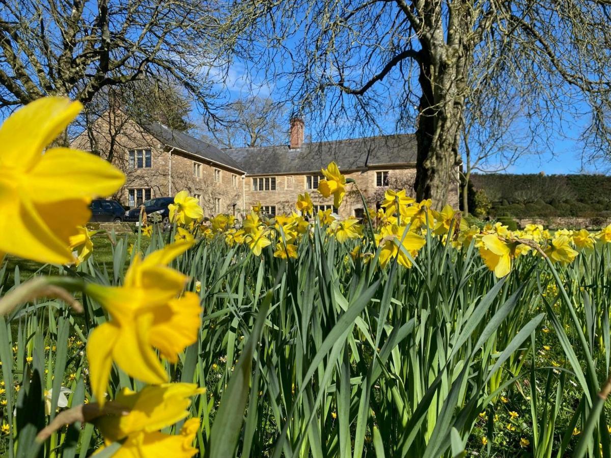 Plumber Manor Hotel Sturminster Newton Luaran gambar