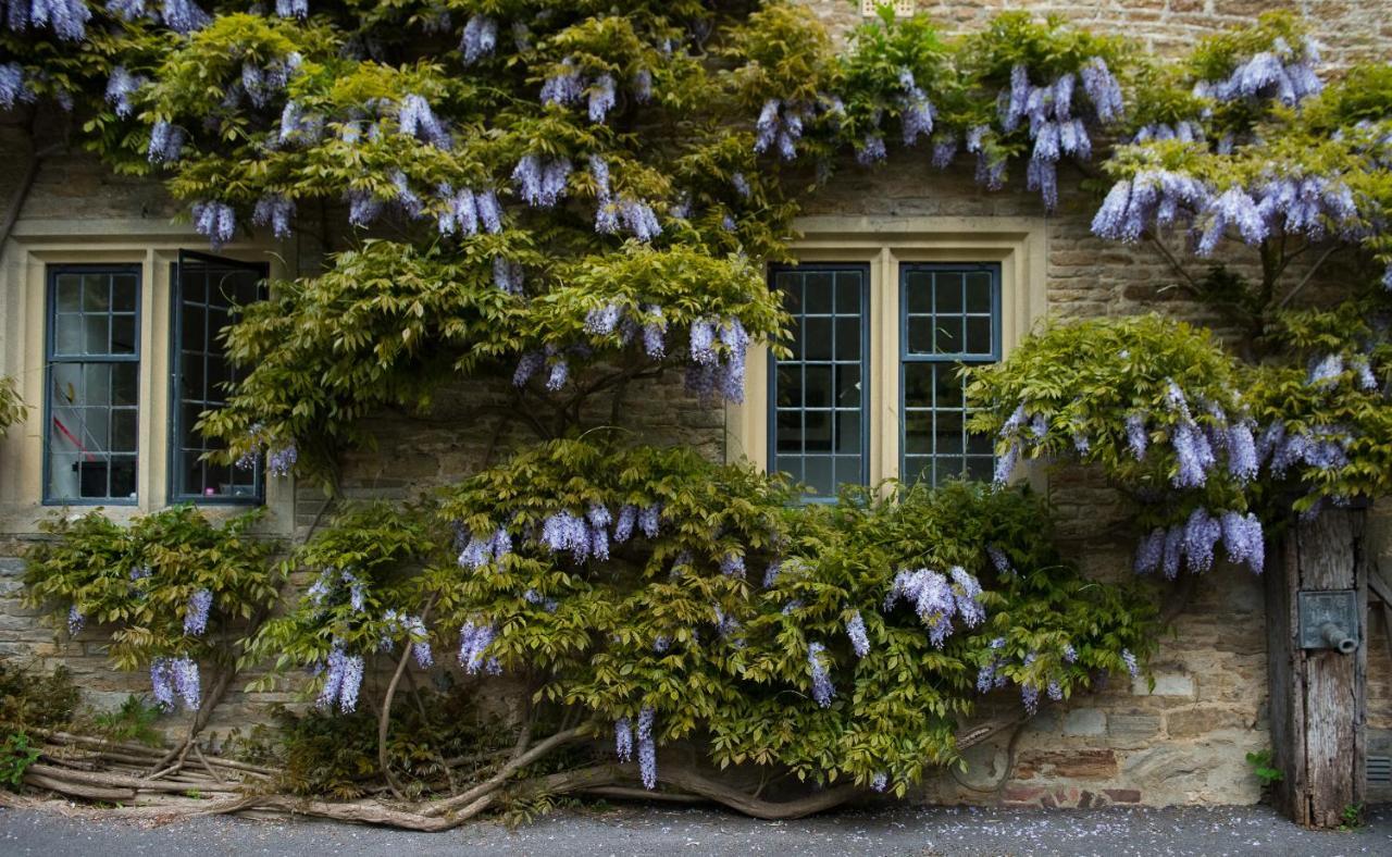 Plumber Manor Hotel Sturminster Newton Luaran gambar