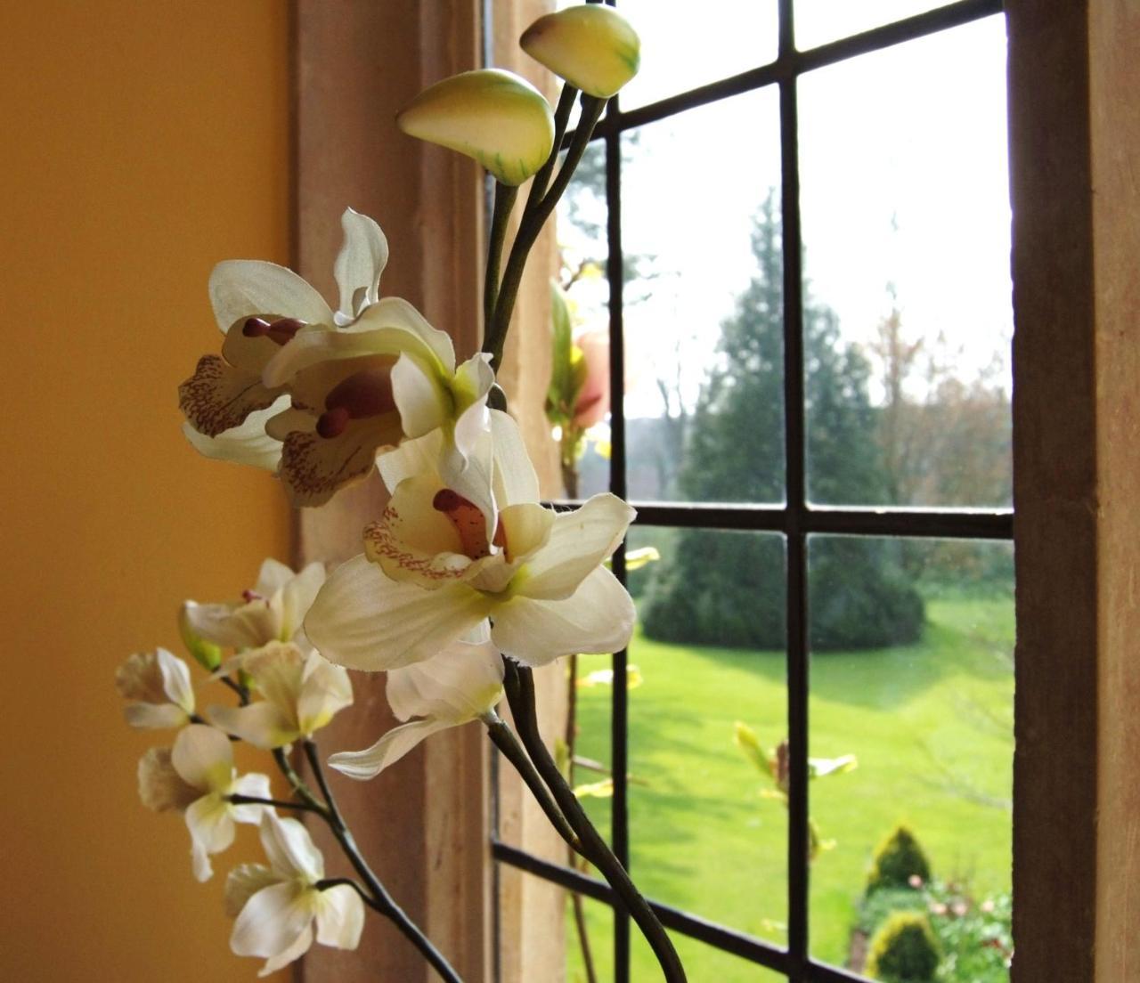 Plumber Manor Hotel Sturminster Newton Luaran gambar